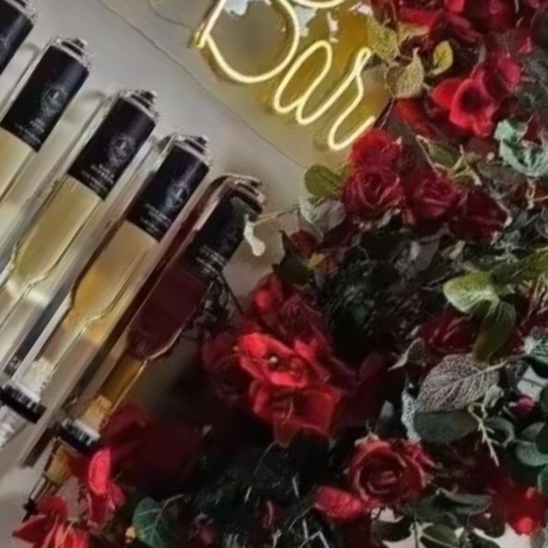 Perfume Fragrance Bar - Dispenser di Profumo da Parete in